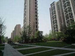 杭州东方郡爆料最新消息,揭秘神秘项目背后的真相 第3张 杭州东方郡爆料最新消息,揭秘神秘项目背后的真相 第3张